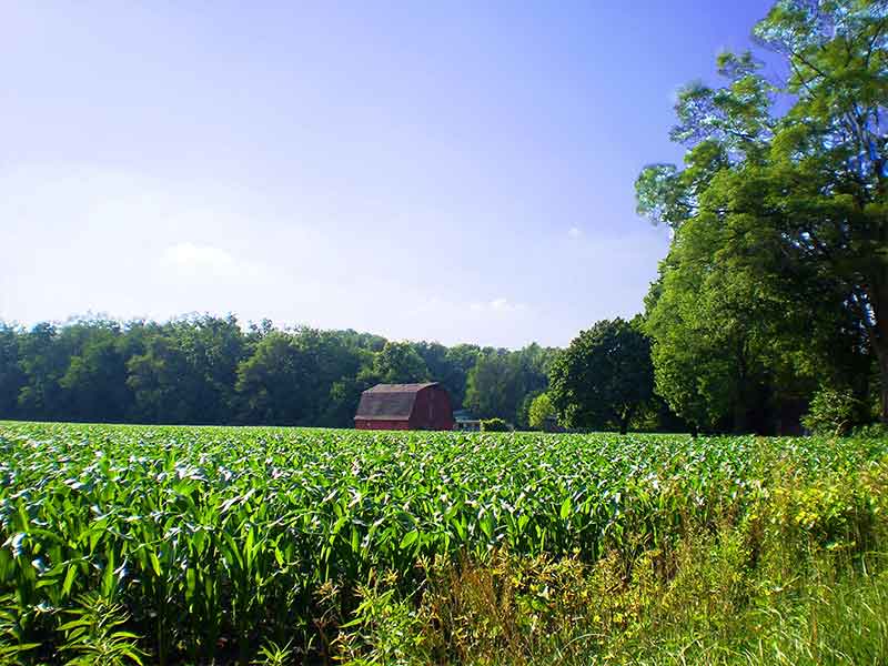 Pôle agrotouristique de Kononfla